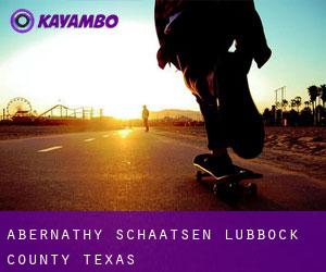 Abernathy schaatsen (Lubbock County, Texas)