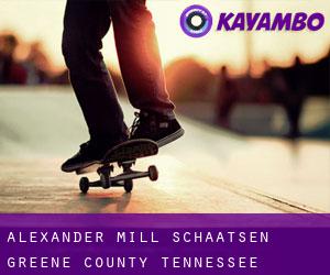 Alexander Mill schaatsen (Greene County, Tennessee)