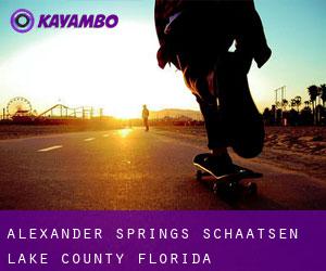 Alexander Springs schaatsen (Lake County, Florida)