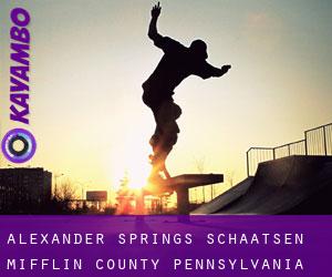 Alexander Springs schaatsen (Mifflin County, Pennsylvania)