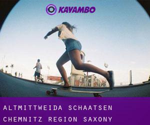 Altmittweida schaatsen (Chemnitz Region, Saxony)
