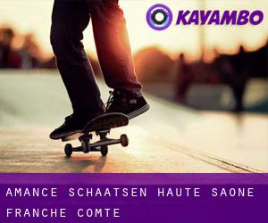Amance schaatsen (Haute-Saône, Franche-Comté)