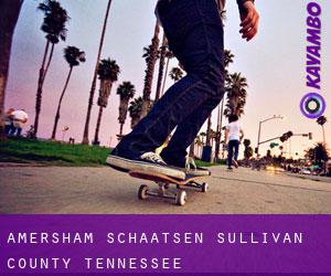 Amersham schaatsen (Sullivan County, Tennessee)