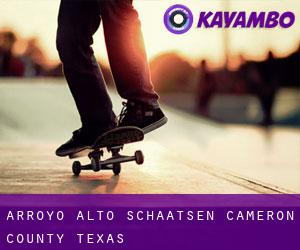 Arroyo Alto schaatsen (Cameron County, Texas)