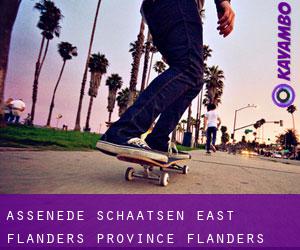 Assenede schaatsen (East Flanders Province, Flanders)