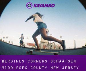 Berdines Corners schaatsen (Middlesex County, New Jersey)