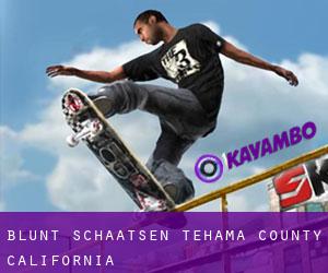Blunt schaatsen (Tehama County, California)
