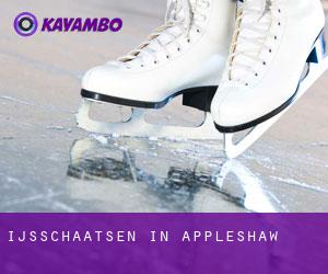 Ijsschaatsen in Appleshaw Ijsschaatsen in Appleshaw