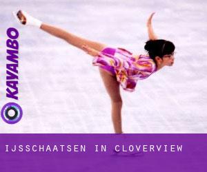 Ijsschaatsen in Cloverview