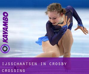 Ijsschaatsen in Crosby Crossing