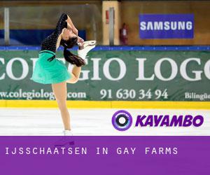 Ijsschaatsen in Gay Farms