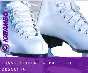 Ijsschaatsen in Pole Cat Crossing