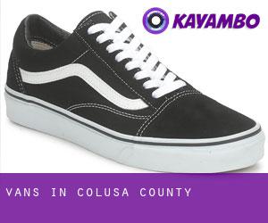 Vans in Colusa County