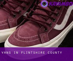 Vans in Flintshire County