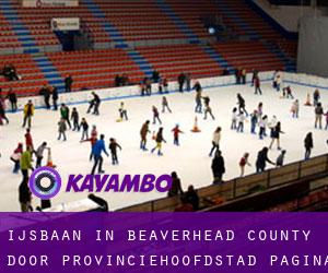 Ijsbaan in Beaverhead County door provinciehoofdstad - pagina 1