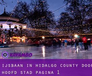 Ijsbaan in Hidalgo County door hoofd stad - pagina 1