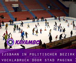 Ijsbaan in Politischer Bezirk Vöcklabruck door stad - pagina 1