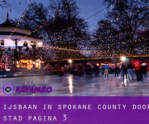 Ijsbaan in Spokane County door stad - pagina 3