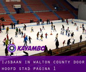 Ijsbaan in Walton County door hoofd stad - pagina 1