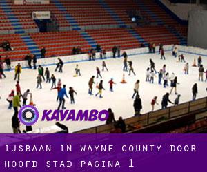 Ijsbaan in Wayne County door hoofd stad - pagina 1
