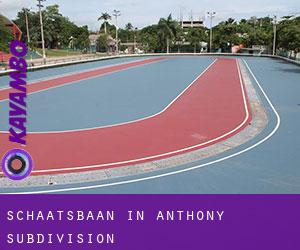 Schaatsbaan in Anthony Subdivision