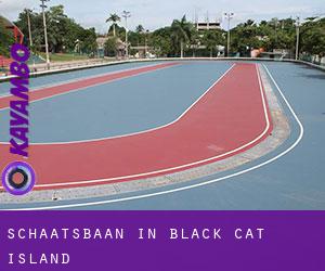 Schaatsbaan in Black Cat Island