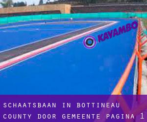 Schaatsbaan in Bottineau County door gemeente - pagina 1