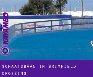 Schaatsbaan in Brimfield Crossing