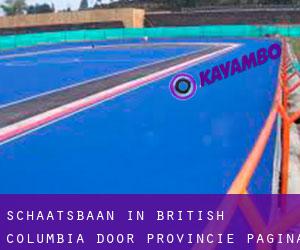 Schaatsbaan in British Columbia door Provincie - pagina 1