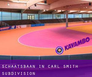 Schaatsbaan in Carl Smith Subdivision