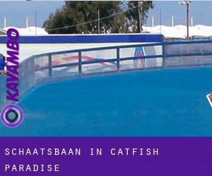Schaatsbaan in Catfish Paradise