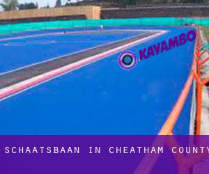Schaatsbaan in Cheatham County