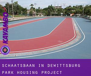 Schaatsbaan in Dewittsburg Park Housing Project