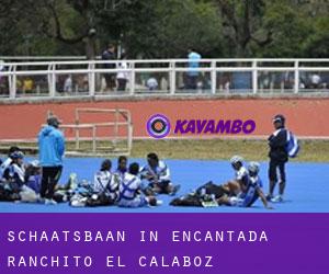 Schaatsbaan in Encantada-Ranchito-El Calaboz