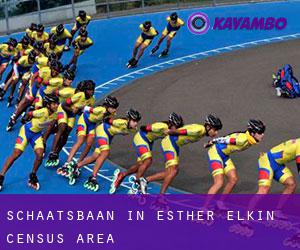 Schaatsbaan in Esther-Elkin (census area)