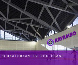 Schaatsbaan in Fox Chase