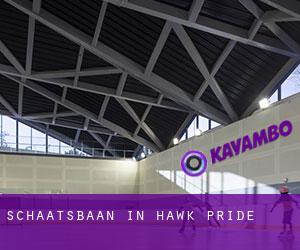 Schaatsbaan in Hawk Pride