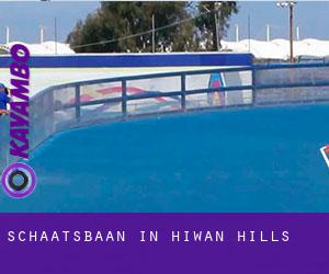 Schaatsbaan in Hiwan Hills