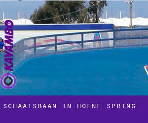 Schaatsbaan in Hoene Spring