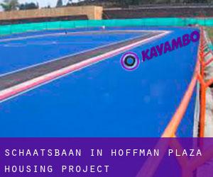 Schaatsbaan in Hoffman Plaza Housing Project