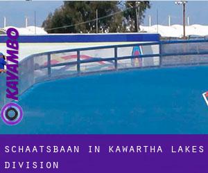 Schaatsbaan in Kawartha Lakes Division