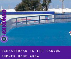 Schaatsbaan in Lee Canyon Summer Home Area