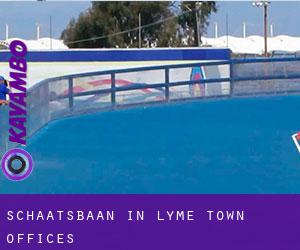 Schaatsbaan in Lyme Town Offices