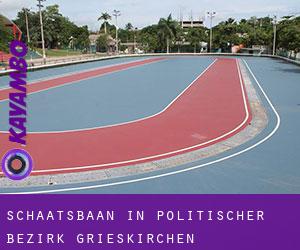 Schaatsbaan in Politischer Bezirk Grieskirchen