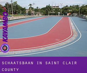 Schaatsbaan in Saint Clair County Schaatsbaan in Saint Clair County