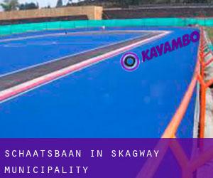 Schaatsbaan in Skagway Municipality