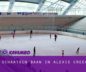 Schaatsen baan in Alexis Creek