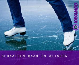 Schaatsen baan in Aliseda