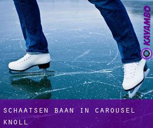 Schaatsen baan in Carousel Knoll