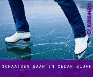 Schaatsen baan in Cedar Bluff